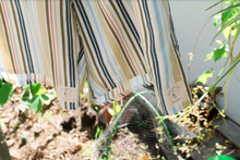 Load image into Gallery viewer, Eco Striped Set
